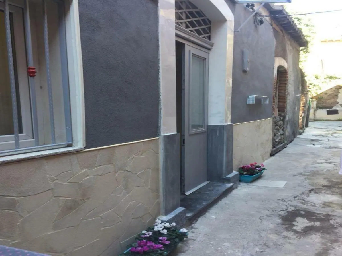 Agora Fortino contacts